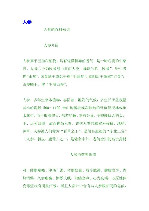 人参