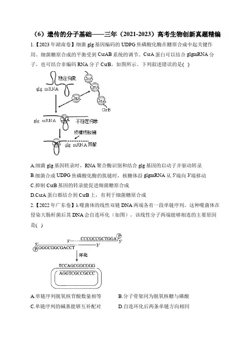 2021-2023高考生物真题汇编：(6)遗传的分子基础(含答案)