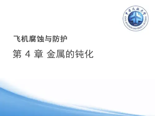 第 4 章 金属的钝化