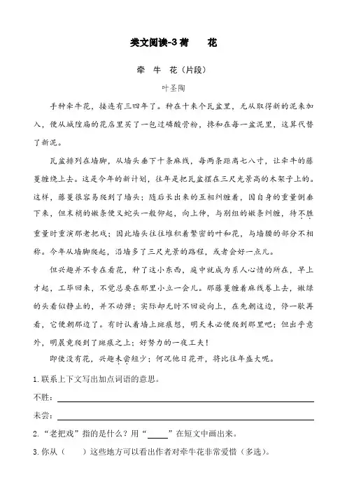 部编版三年级语文下册《3荷花》类文阅读