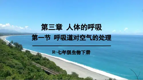 人教版七年级生物下册第三章《人体的呼吸》课件