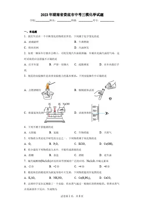 2023年湖南省娄底市中考三模化学试题(含解析)