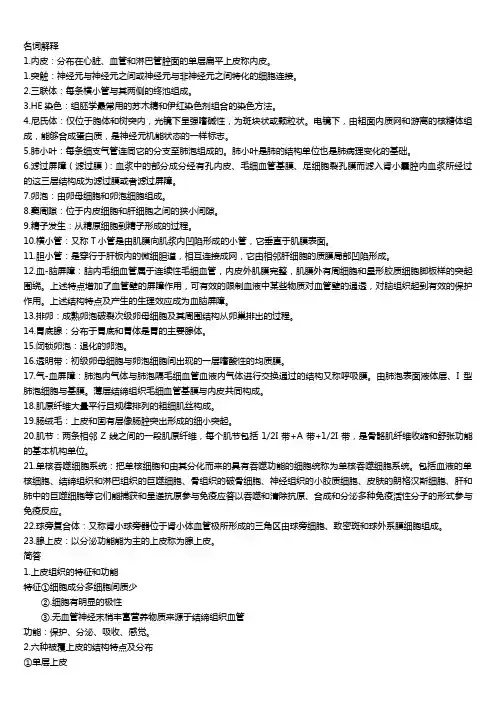 组织学与胚胎学考试重点复习资料 