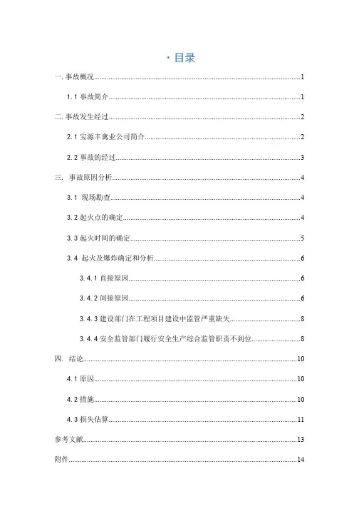 宝源丰事故调查报告