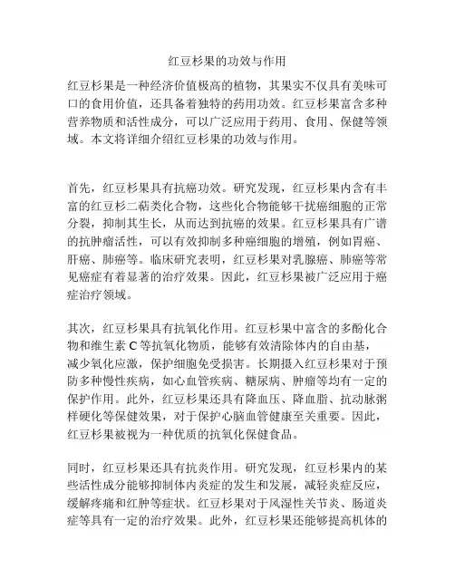 红豆杉果的功效与作用