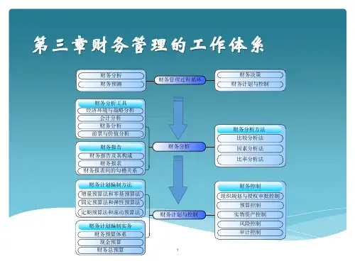 财经-财务会计专业财务管理-第三章财务管理的工作体系课件