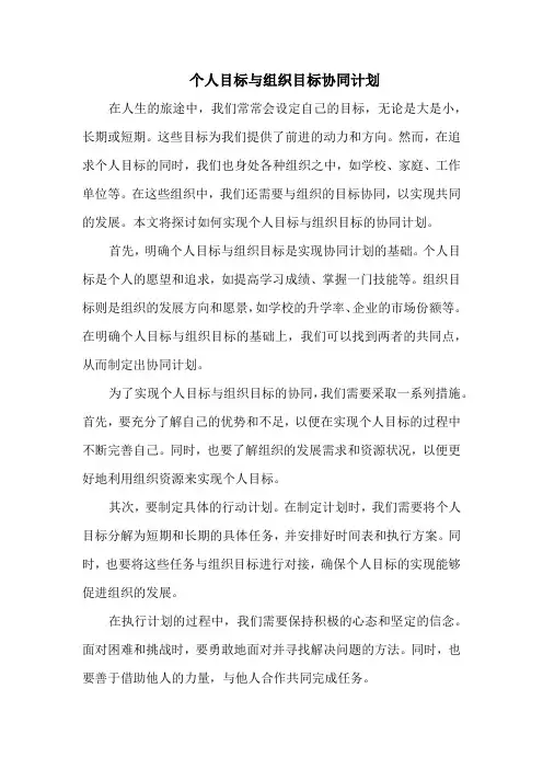个人目标与组织目标协同计划