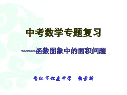 函数图像中的面积问题