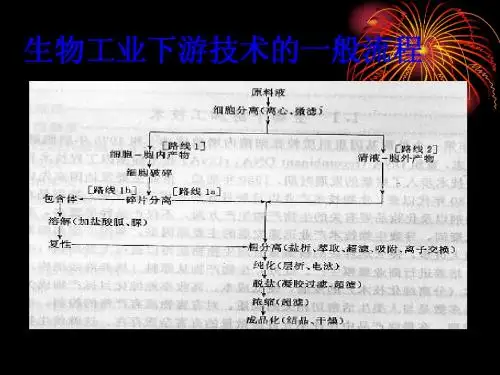 清洁生产导论