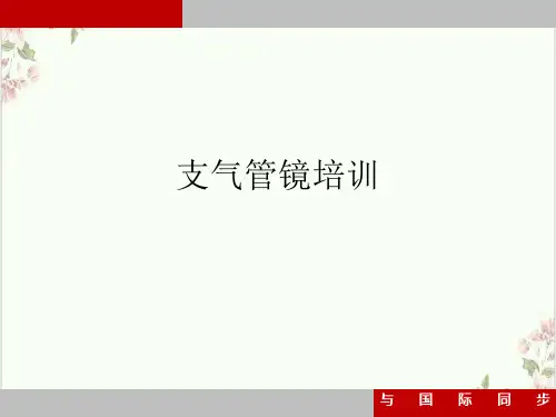 支气管镜ppt课件