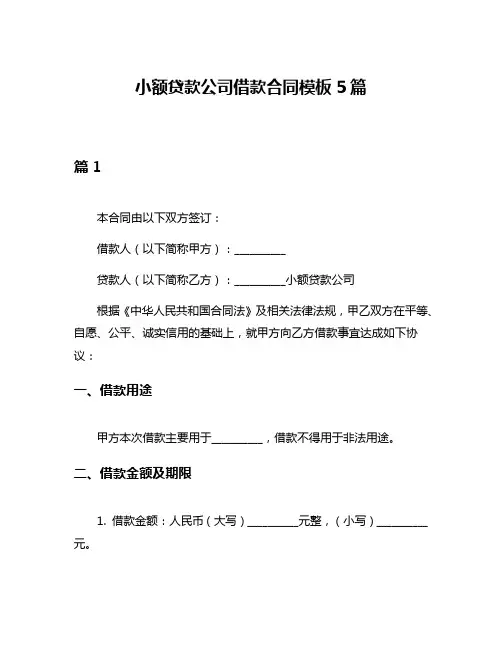 小额贷款公司借款合同模板5篇
