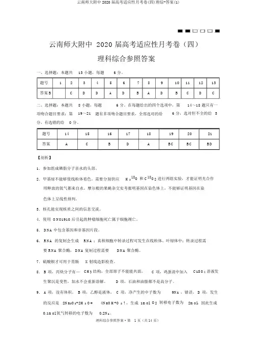 云南师大附中2020届高考适应性月考卷(四)理综-答案(1)