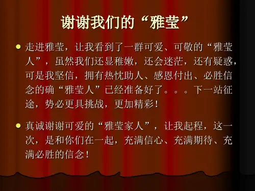 雅莹咨询战略规划报告(1)