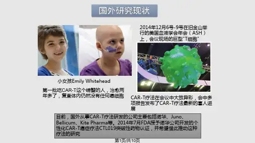 CART免疫治疗PPT课件