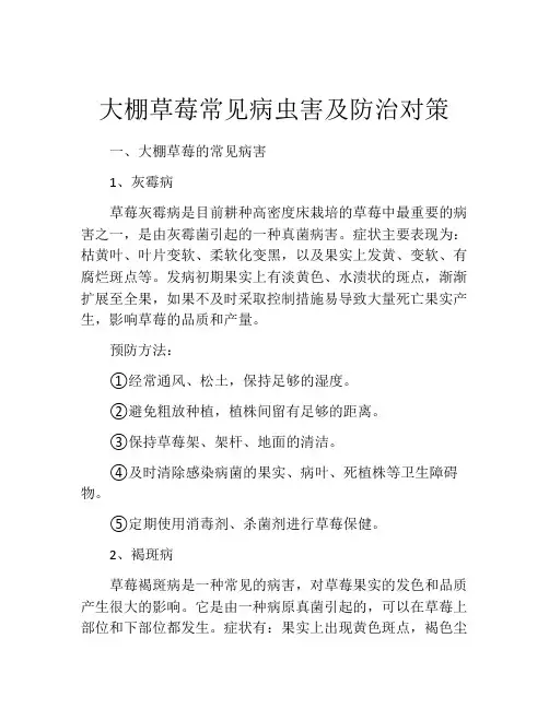 大棚草莓常见病虫害及防治对策