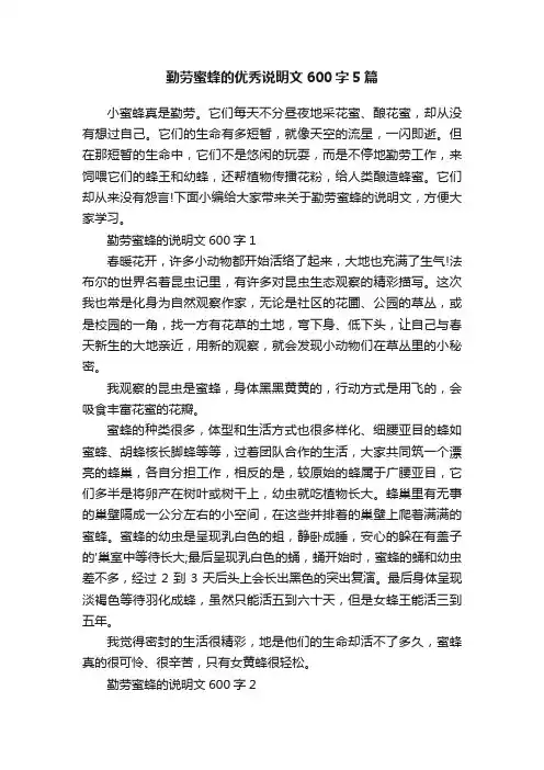 勤劳蜜蜂的优秀说明文600字5篇