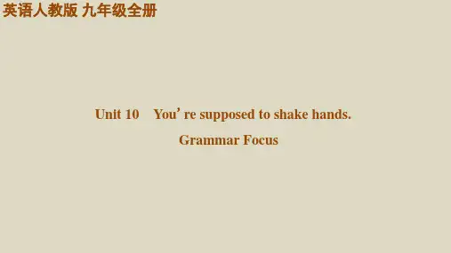 Unit+10+Sec Grammar+Focus+课件+2023-2024学年人教版英语九年级全册