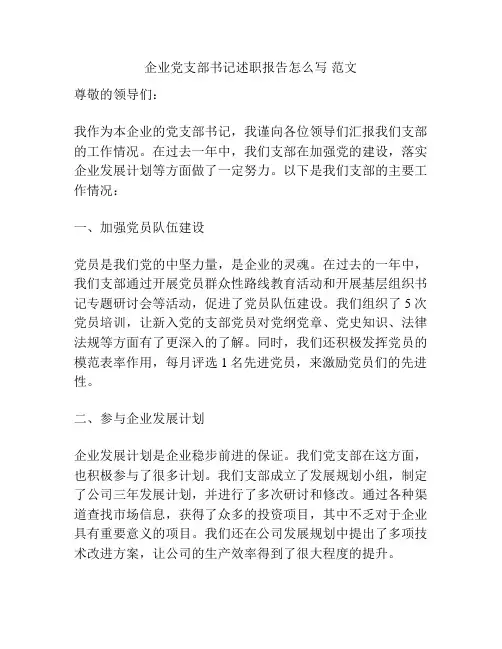 企业党支部书记述职报告怎么写 范文