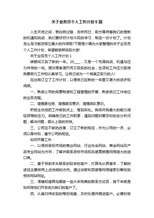 关于业务员个人工作计划5篇