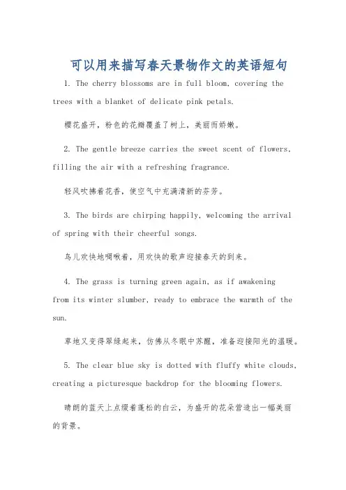 可以用来描写春天景物作文的英语短句