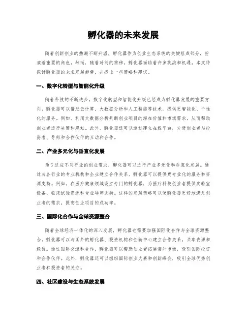 孵化器的未来发展