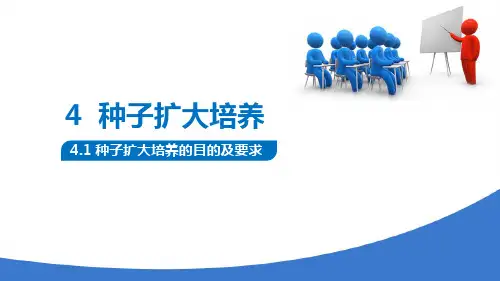 种子扩大培养 认识种子扩大培养