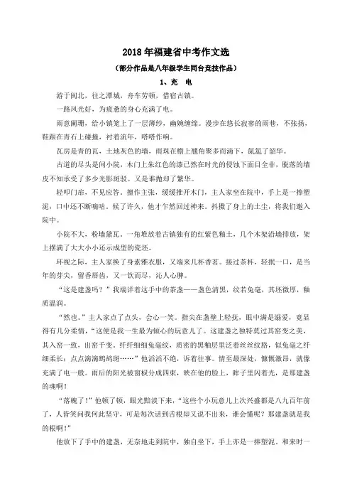 2018福建省中考优秀作文