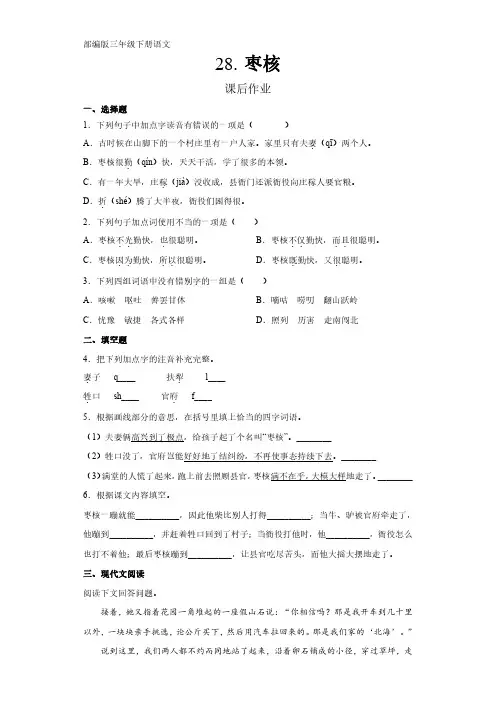 部编版三年级语文下册下学期 课后作业第28课《枣核》 练习试卷含答案