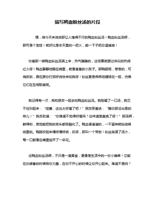描写鸭血粉丝汤的片段