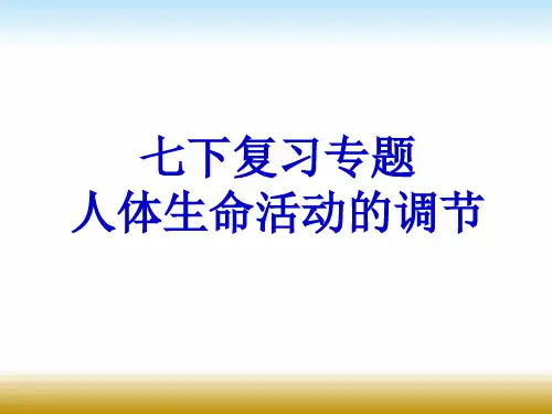 4.6 人体生命活动的调节-人教版七年级生物下册复习课件 (共16张PPT)