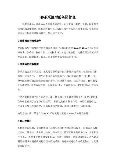 春茶采摘后的茶园管理