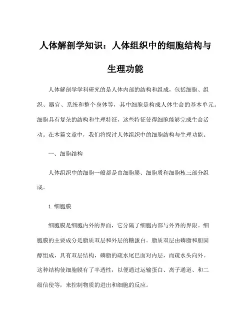 人体解剖学知识：人体组织中的细胞结构与生理功能