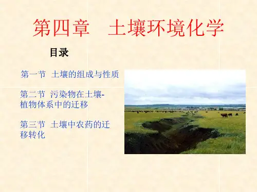 《环境化学》课件—04土壤环境化学