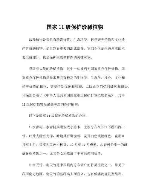 国家11级保护珍稀植物
