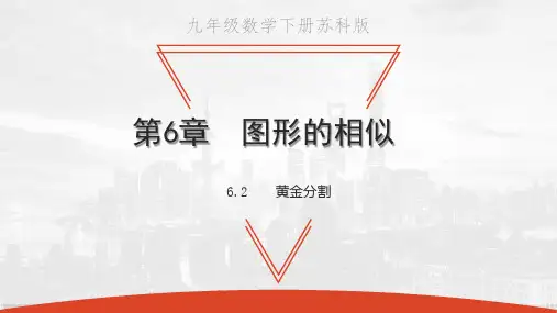 苏科版九年级下册数学教学课件 第6章 图形的相似 黄金分割