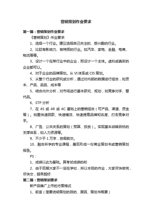 营销策划作业要求