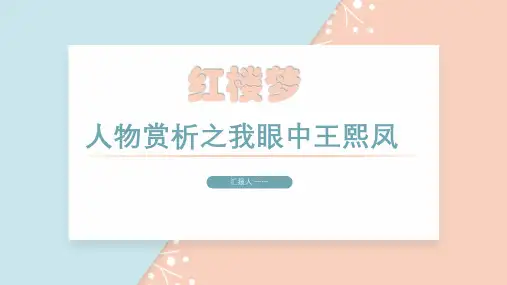 四大名著之红楼梦我眼中,王熙凤
