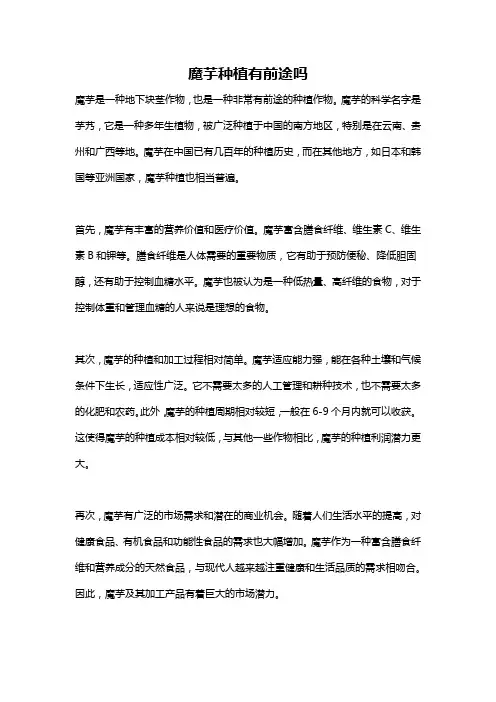 魔芋种植有前途吗