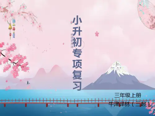 【无锡重点小学】小升初英语专题课件-代词 译林版(共23张PPT)