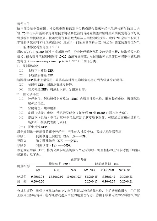 诱发电位基本知识
