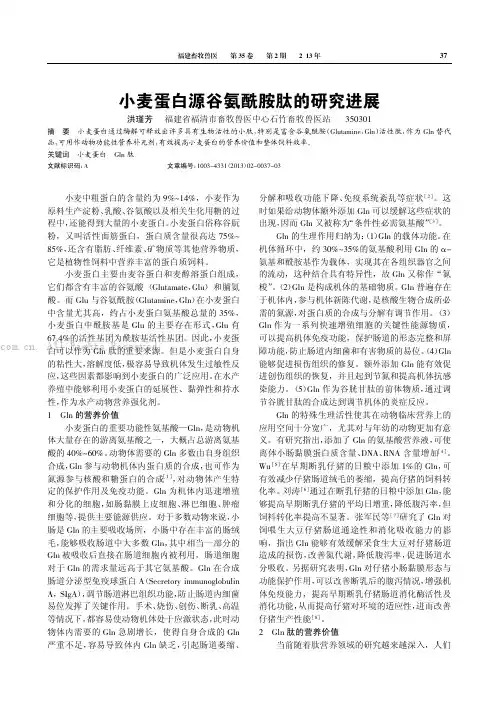 小麦蛋白源谷氨酰胺肽的研究进展
