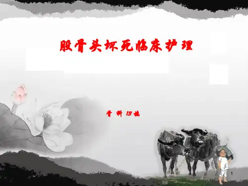 股骨头坏死临床护理PPT课件