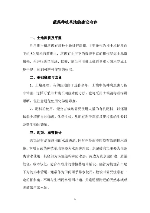 蔬菜种植基地的建设内容
