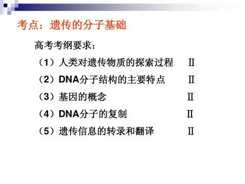 高考生物考点——遗传的分子基础