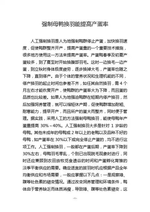 强制母鸭换羽能提高产蛋率