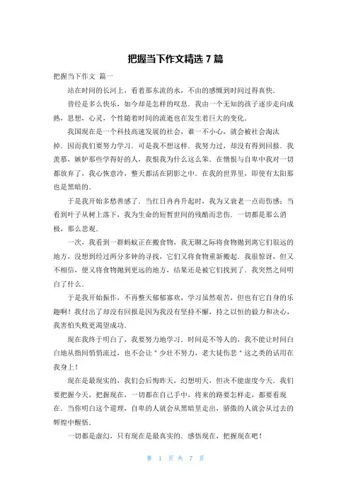 把握当下作文精选7篇