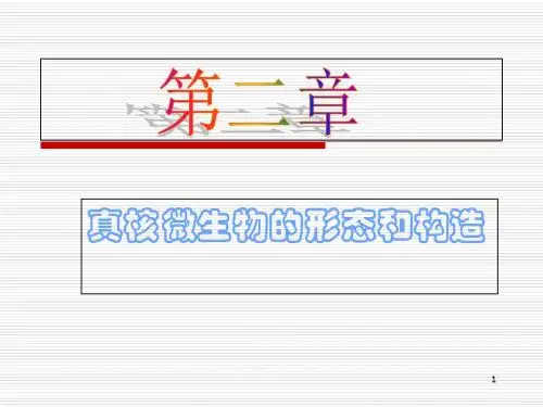 微生物第二章_