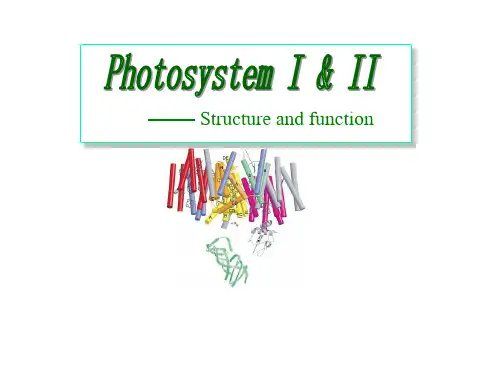 天津大学无机化学课件：photosystem II