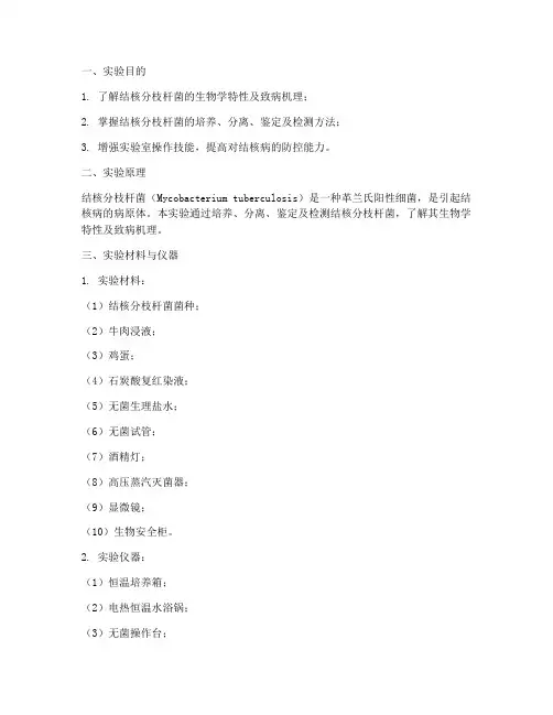 结核分枝杆菌实验报告