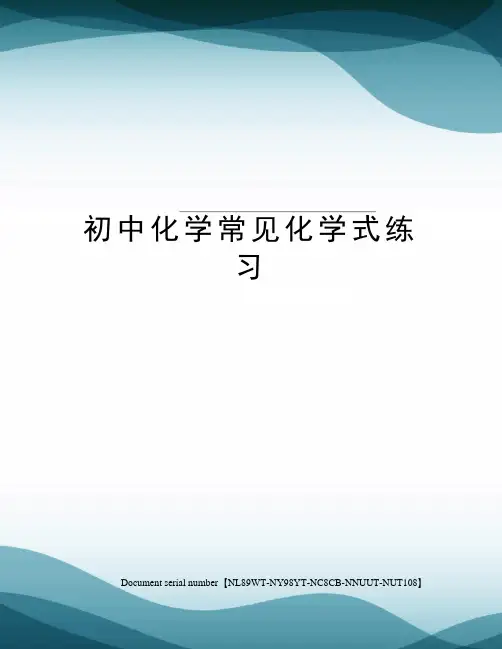 初中化学常见化学式练习完整版